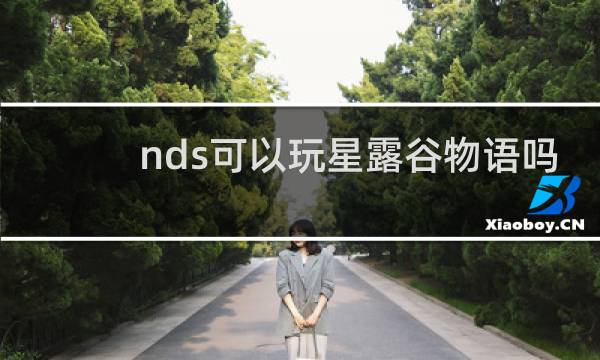 nds可以玩星露谷物语吗