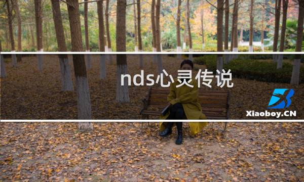 nds心灵传说 攻略