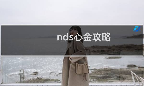 nds心金攻略