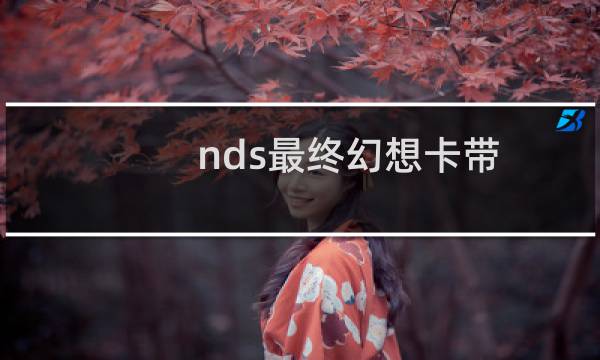 nds最终幻想卡带