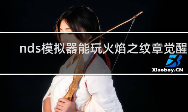 nds模拟器能玩火焰之纹章觉醒吗