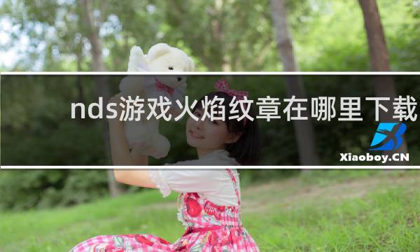 nds游戏火焰纹章在哪里下载