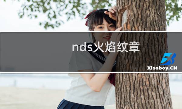 nds火焰纹章 光与影的英雄攻略