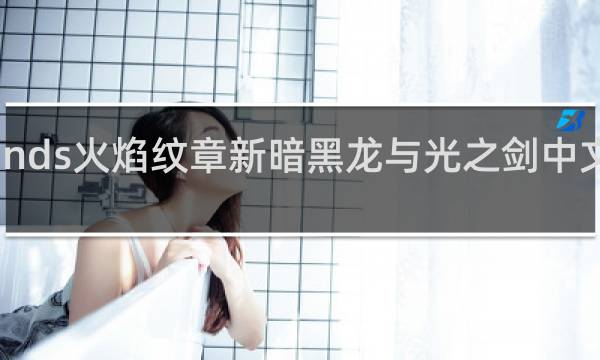 nds火焰纹章新暗黑龙与光之剑中文攻略