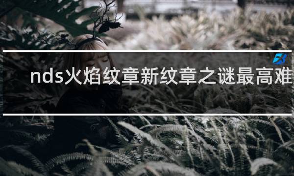 nds火焰纹章新纹章之谜最高难度