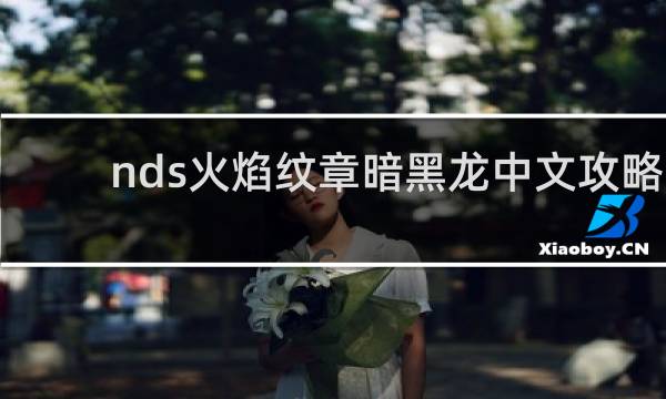 nds火焰纹章暗黑龙中文攻略