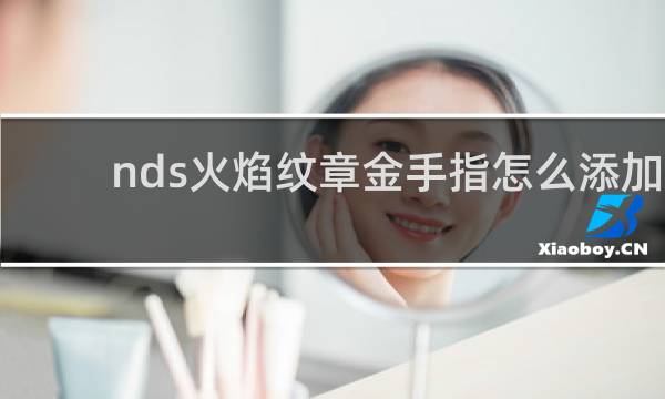 nds火焰纹章金手指怎么添加