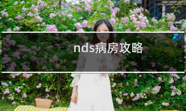 nds病房攻略