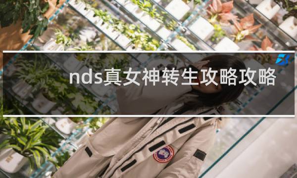 nds真女神转生攻略攻略
