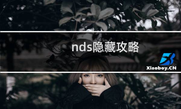 nds隐藏攻略