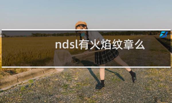 ndsl有火焰纹章么