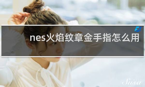 nes火焰纹章金手指怎么用