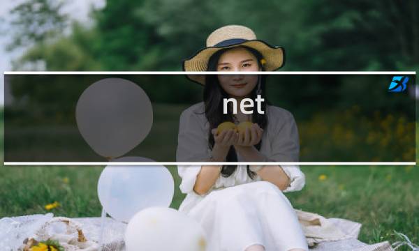 net  framework  4 0 x64