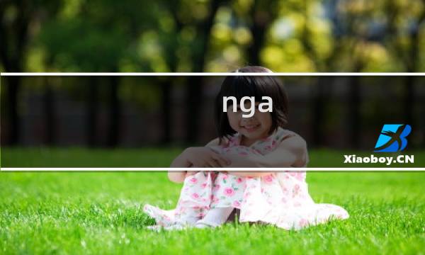 nga 升级攻略