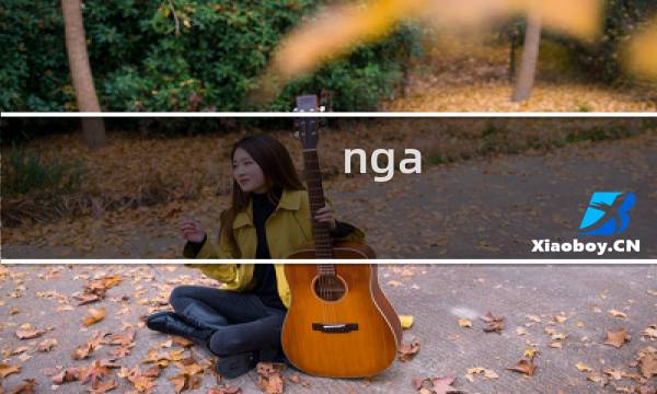 nga 艾尔登法环 削韧