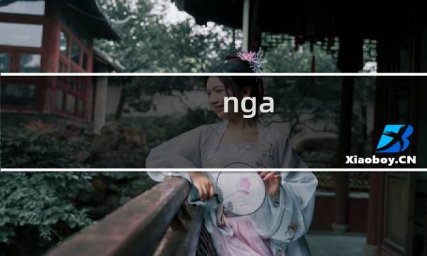 nga 英雄攻略