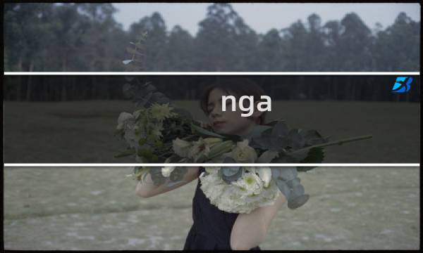 nga 魔兽满级攻略