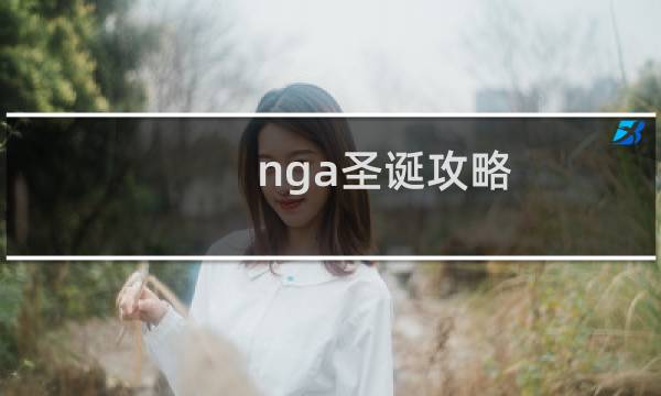 nga圣诞攻略