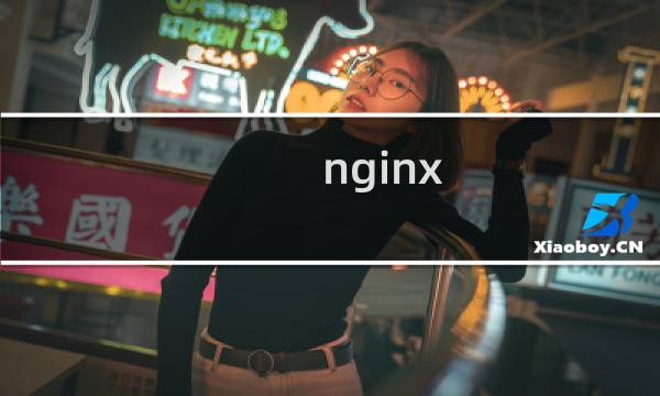 nginx 怎么启动