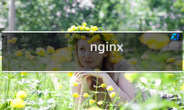nginx 泛解析