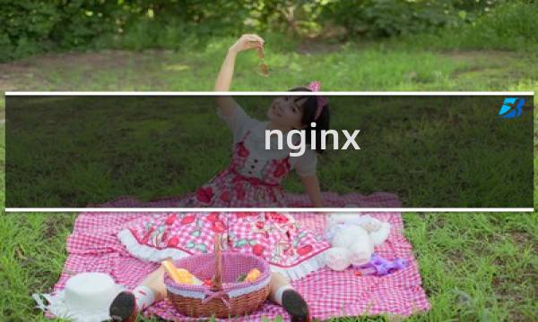 nginx is forbidden