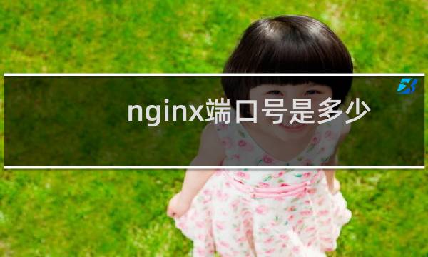 nginx端口号是多少