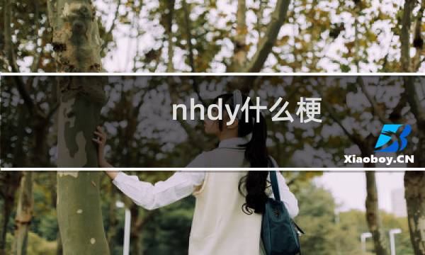 nhdy什么梗