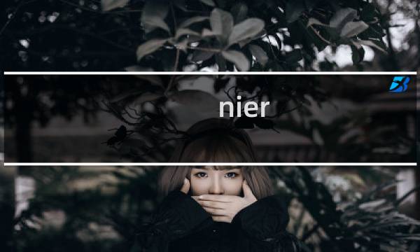 nier 攻略