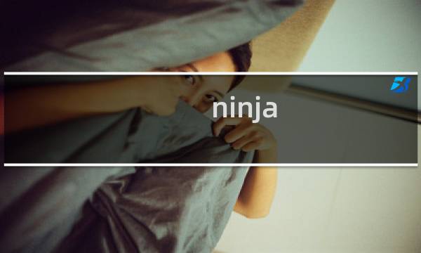 ninja gaiden攻略