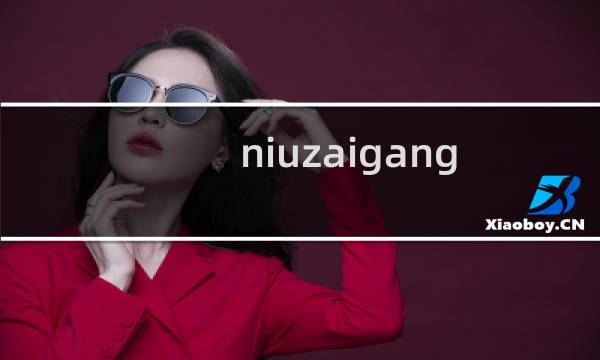 niuzaigang.cn域名信息填报不准确（证件号码不一致