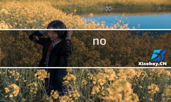 no can no bb是什么意思什么梗
