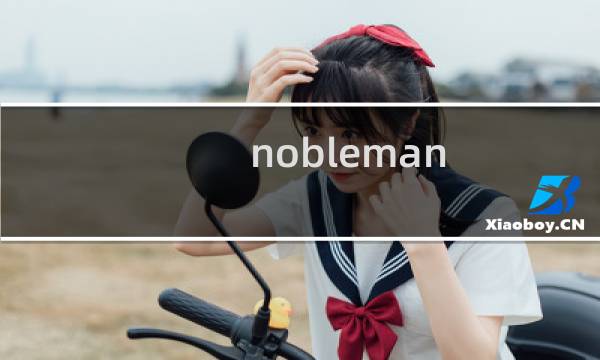 nobleman 游戏攻略