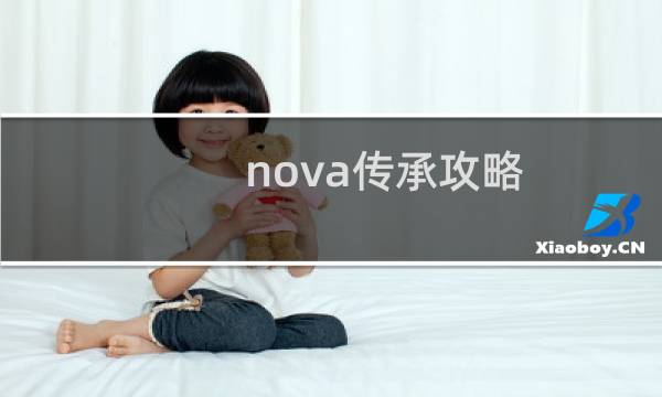 nova传承攻略