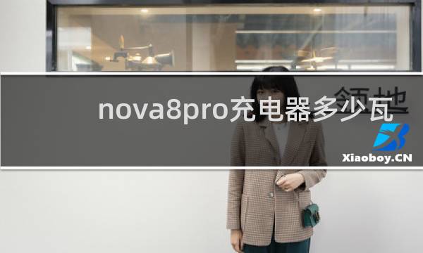 nova8pro充电器多少瓦