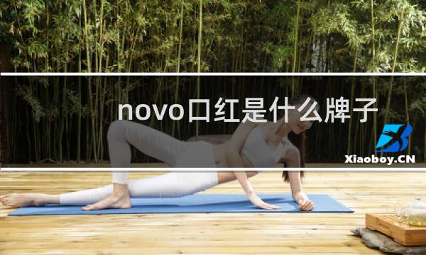 novo口红是什么牌子