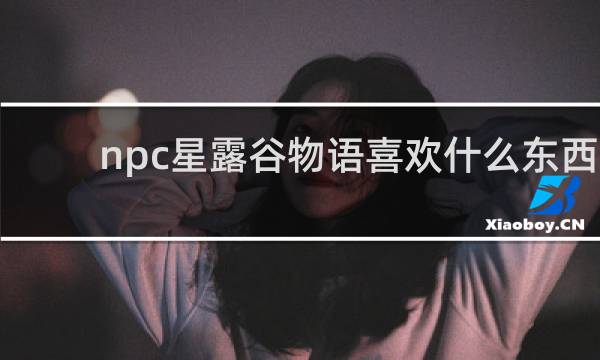 npc星露谷物语喜欢什么东西