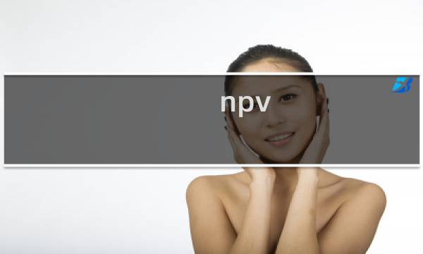 npv图片