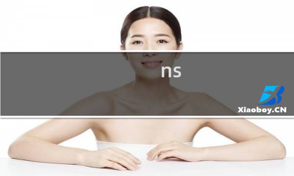 ns 大志攻略