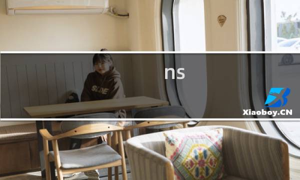 ns 大金剛攻略 攻略