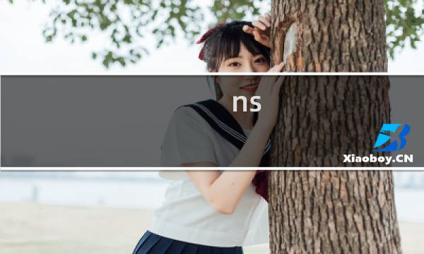ns 星露谷物语  多少钱