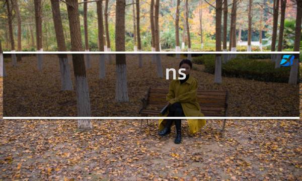 ns 星露谷物语 代码怎么输入