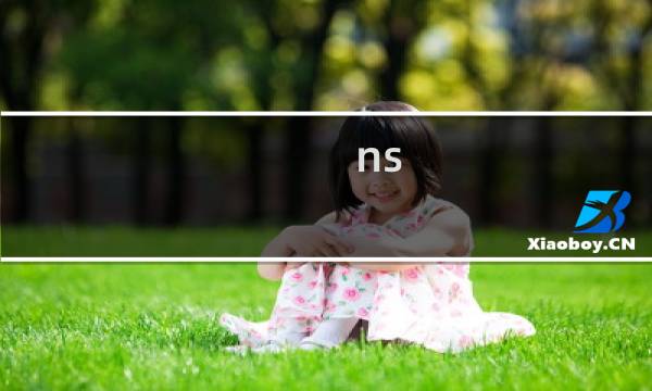 ns 最终幻想11