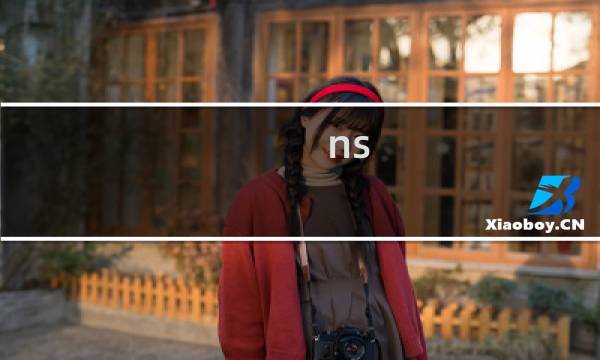 ns 最终幻想12 中文