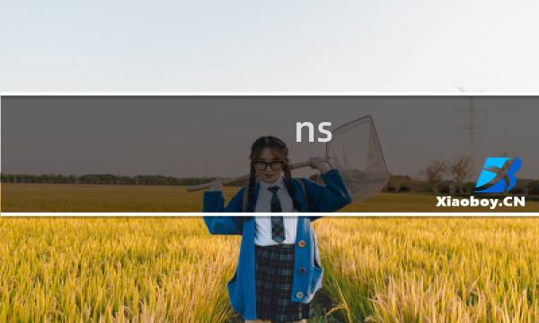 ns 消逝的光芒玩了几遍