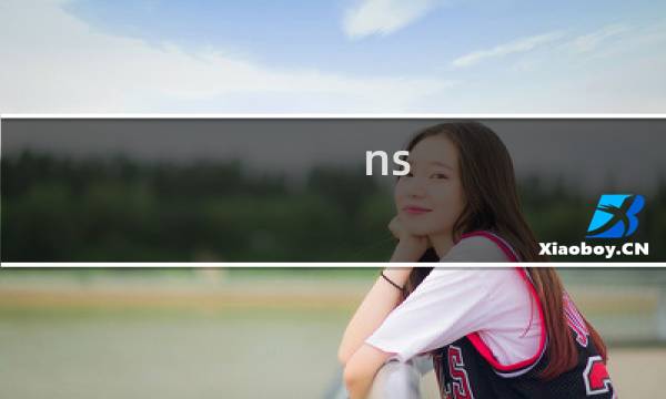 ns 龙珠 攻略
