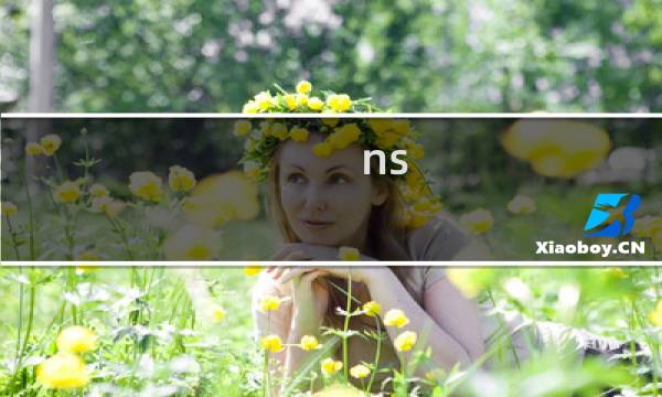 ns mirror攻略