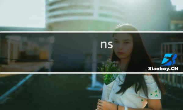 ns zelda攻略