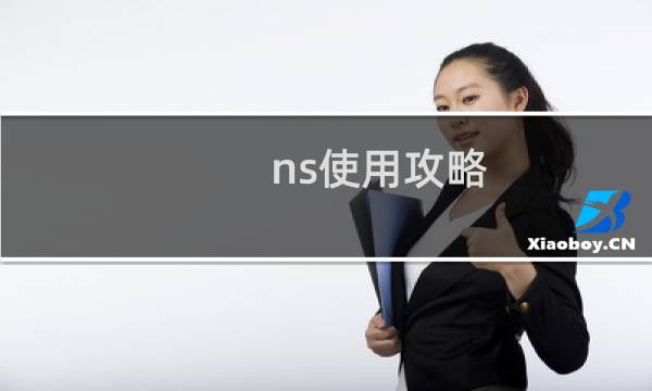 ns使用攻略