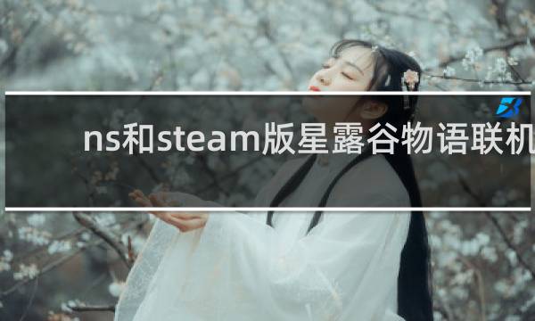 ns和steam版星露谷物语联机