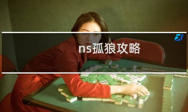 ns孤狼攻略